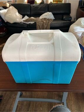 Vintage Viking by Bee Blue and White Portable Cooler with Molded Handle, 14x13x9